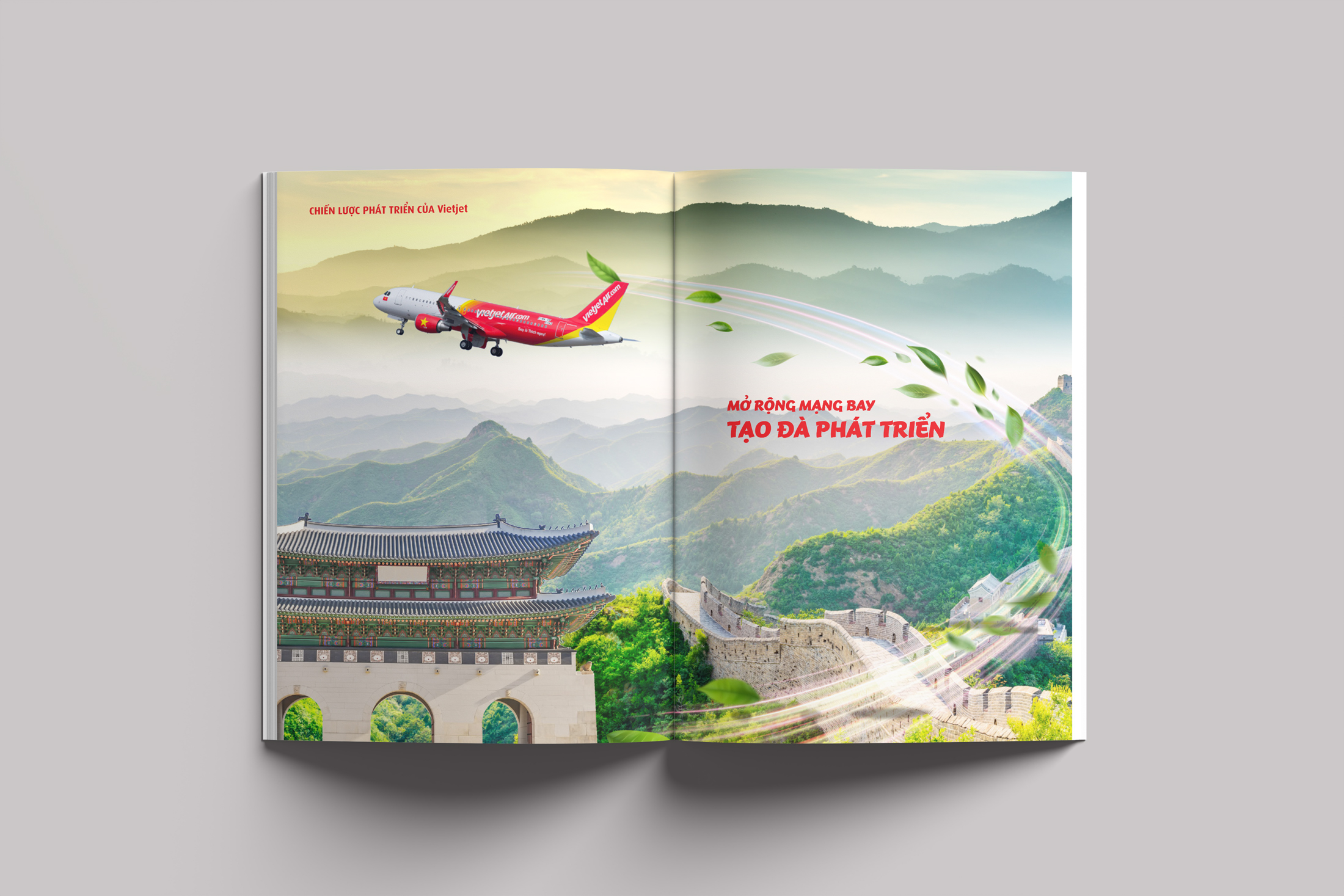 Vietjet-air-design